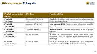 RNA Polymerase & their
location
RNA Type Function of RNA
RNA Pol I
(Nucleolus)
Ribosomal RNA (80%) Catalytic: Combines with proteins to form ribosomes, the
site of protein synthesis.
RNA Pol II
(Nucleoplasm)
Messenger RNA (5%) Informational RNA: Carries genetic information provided
by DNA
RNA Pol III
(Nucleoplasm)
Transfer RNA (15%) Adapter/Soluble: Transport amino acids to site of protein
synthesis.
RNA Pol IV
(Nucleoplasm)
si RNA in Plants A class of double-stranded RNA non-coding RNA
molecules, work as operator (post transcriptional gene
silencing).
RNA Pol V
(Nucleoplasm)
Si RNA in plants Pol V is involved in siRNA-directed DNA methylation
pathway which leads to heterochromatic silencing.
39
RNA polymerase: Eukaryotic
 