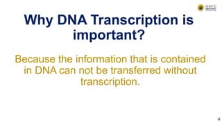 Why DNA Transcription is
important?
Because the information that is contained
in DNA can not be transferred without
transcription.
4
 