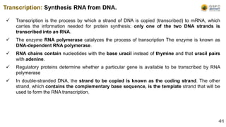  Transcription is the process by which a strand of DNA is copied (transcribed) to mRNA, which
carries the information needed for protein synthesis; only one of the two DNA strands is
transcribed into an RNA.
 The enzyme RNA polymerase catalyzes the process of transcription The enzyme is known as
DNA-dependent RNA polymerase.
 RNA chains contain nucleotides with the base uracil instead of thymine and that uracil pairs
with adenine.
 Regulatory proteins determine whether a particular gene is available to be transcribed by RNA
polymerase
 In double-stranded DNA, the strand to be copied is known as the coding strand. The other
strand, which contains the complementary base sequence, is the template strand that will be
used to form the RNA transcription.
Transcription: Synthesis RNA from DNA.
41
 