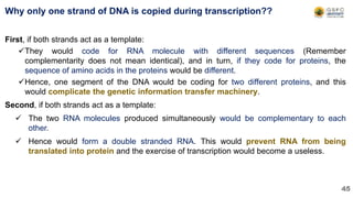 Why only one strand of DNA is copied during transcription??
First, if both strands act as a template:
They would code for RNA molecule with different sequences (Remember
complementarity does not mean identical), and in turn, if they code for proteins, the
sequence of amino acids in the proteins would be different.
Hence, one segment of the DNA would be coding for two different proteins, and this
would complicate the genetic information transfer machinery.
Second, if both strands act as a template:
 The two RNA molecules produced simultaneously would be complementary to each
other.
 Hence would form a double stranded RNA. This would prevent RNA from being
translated into protein and the exercise of transcription would become a useless.
45
 