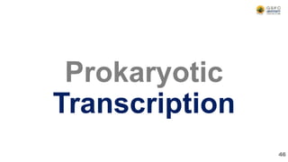 Prokaryotic
Transcription
46
 