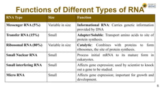 Functions of Different Types of RNA
RNA Type Size Function
Messenger RNA (5%) Variable in size Informational RNA: Carries genetic information
provided by DNA
Transfer RNA (15%) Small Adapter/Soluble: Transport amino acids to site of
protein synthesis.
Ribosomal RNA (80%) Variable in size Catalytic: Combines with proteins to form
ribosomes, the site of protein synthesis.
Small Nuclear RNA Small Process initial mRNA to its mature form in
eukaryotes.
Small interfering RNA Small Affects gene expression; used by scientist to knock
out a gene to be studied.
Micro RNA Small Affects gene expression; important for growth and
development.
5
 