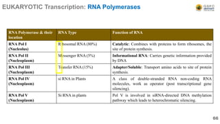 RNA Polymerase & their
location
RNA Type Function of RNA
RNA Pol I
(Nucleolus)
Ribosomal RNA (80%) Catalytic: Combines with proteins to form ribosomes, the
site of protein synthesis.
RNA Pol II
(Nucleoplasm)
Messenger RNA (5%) Informational RNA: Carries genetic information provided
by DNA
RNA Pol III
(Nucleoplasm)
Transfer RNA (15%) Adapter/Soluble: Transport amino acids to site of protein
synthesis.
RNA Pol IV
(Nucleoplasm)
si RNA in Plants A class of double-stranded RNA non-coding RNA
molecules, work as operator (post transcriptional gene
silencing).
RNA Pol V
(Nucleoplasm)
Si RNA in plants Pol V is involved in siRNA-directed DNA methylation
pathway which leads to heterochromatic silencing.
66
EUKARYOTIC Transcription: RNA Polymerases
 