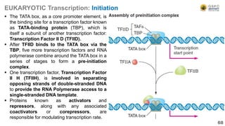 68
EUKARYOTIC Transcription: Initiation
 The TATA box, as a core promoter element, is
the binding site for a transcription factor known
as TATA-binding protein (TBP), which is
itself a subunit of another transcription factor:
Transcription Factor II D (TFIID).
 After TFIID binds to the TATA box via the
TBP, five more transcription factors and RNA
polymerase combine around the TATA box in a
series of stages to form a pre-initiation
complex.
 One transcription factor, Transcription Factor
II H (TFIIH), is involved in separating
opposing strands of double-stranded DNA
to provide the RNA Polymerase access to a
single-stranded DNA template.
 Proteins known as activators and
repressors, along with any associated
coactivators or corepressors, are
responsible for modulating transcription rate.
 