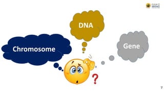 Chromosome
DNA
Gene
7
 