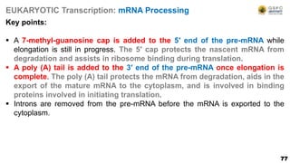 77
EUKARYOTIC Transcription: mRNA Processing
Key points:
 A 7-methyl-guanosine cap is added to the 5′ end of the pre-mRNA while
elongation is still in progress. The 5′ cap protects the nascent mRNA from
degradation and assists in ribosome binding during translation.
 A poly (A) tail is added to the 3′ end of the pre-mRNA once elongation is
complete. The poly (A) tail protects the mRNA from degradation, aids in the
export of the mature mRNA to the cytoplasm, and is involved in binding
proteins involved in initiating translation.
 Introns are removed from the pre-mRNA before the mRNA is exported to the
cytoplasm.
 