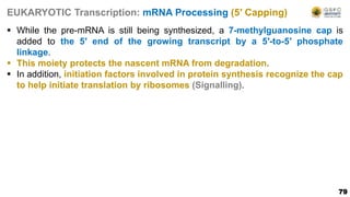 79
EUKARYOTIC Transcription: mRNA Processing (5′ Capping)
 While the pre-mRNA is still being synthesized, a 7-methylguanosine cap is
added to the 5′ end of the growing transcript by a 5′-to-5′ phosphate
linkage.
 This moiety protects the nascent mRNA from degradation.
 In addition, initiation factors involved in protein synthesis recognize the cap
to help initiate translation by ribosomes (Signalling).
 