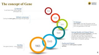 1866
1909
1911
1941
1949
1965
GJ Mendel
A unit factor that controls specific
phenotypic trait
Wilhelm Johannsen
Coining the terms gene, phenotype and genotype
Yanofsky
One gene (cistron) – one polypeptide
hypothesis
TH Morgan
Gene theory is the idea that genes are the
basic units in which characteristics are passed
from one generation to the next
George Beadle and Edward Tatum
The one gene–one enzyme hypothesis is the idea
that genes act through the production of
enzymes, with each gene responsible for
producing a single enzyme that in turn affects a
single step in a metabolic pathway.
Pauling and Ingram
Established the role of genes in protein
synthesis
The concept of Gene
8
 