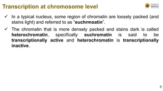  In a typical nucleus, some region of chromatin are loosely packed (and
stains light) and referred to as “euchrmoatin”.
 The chromatin that is more densely packed and stains dark is called
heterochromatin, specifically euchromatin is said to be
transcriptionally active and heterochromatin is transcriptionally
inactive.
Transcription at chromosome level
9
 