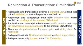 REPLICATION
 Replication and transcription involves a parental DNA strand that
is the foundation on which the products are built on.
 Replication and transcription both have initiation step which
involve the breakage of the parental DNA strand.
 Replication and transcription both have specific proteins that keep
the polymerase molecule attached to the parental DNA strand.
 There are elongation factors for transcription and sliding clamp for
replication.
 Both processes use DNA topoisomerases to relieve supercoiling.
 Both processes only proceed in the 5' to 3' direction.
TRANSCRIPTION
96
Replication & Transcription: Similarities
 