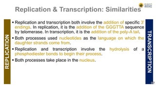 REPLICATION
 Replication and transcription both involve the addition of specific 3'
endings. In replication, it is the addition of the GGGTTA sequence
by telomerase. In transcription, it is the addition of the poly-A tail.
 Both processes used nucleotides as the language on which the
daughter strands come from.
 Replication and transcription involve the hydrolysis of a
phosphodiester bonds to begin their process.
 Both processes take place in the nucleus.
TRANSCRIPTION
97
Replication & Transcription: Similarities
 