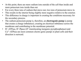 • At this point, there are more sodium ions outside of the cell than inside and
more potassium ions inside than out.
• For every three ions of sodium that move out, two ions of potassium move in.
• This results in the interior being slightly more negative relative to the exterior.
• This difference in charge is important in creating the conditions necessary for
the secondary process.
• The sodium-potassium pump is, therefore, an electrogenic pump (a pump
that creates a charge imbalance), creating an electrical imbalance across the
membrane and contributing to the membrane potential.
• H+-ATPase, H+-Ppase (H+-translocating inorganic pyrophosphatase) and
Ca2+-ATPase are most common electro genic pumps in plant cells and their
direction is outward.
 