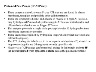 Proton-ATPase Pumps (H+-ATPases):
• These pumps are also known as P-type ATPases and are found in plasma
membrane, tonoplast and possibly other cell membranes.
• These are structurally distinct and operate in reverse of F-type ATPases i.e.,
they hydrolyse ATP instead of synthesizing it (ATPases of mitochondria and
chloroplast are also known as F-type ATPases)
• This enzyme protein is a single chain polypeptide with 10 hydrophobic trans
membrane segments or domains .
• These segments are joined by hydrophilic loops which project in cytosol and
cell wall (apoplast).
• The ATP binding site is believed to be an aspartic acid residue (D) situated on
loop connecting 4th and 5th segments towards cytosilic side.
• Hydrolysis of ATP causes conformational change in the protein and one H+
ion is transported from cytosol to outside across the plasma membrane.
 