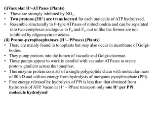 (i)Vacuolar H+-ATPases (Plants)
• These are strongly inhibited by NO3
–.
• Two protons (2H+) are trans located for each molecule of ATP hydrolysed.
• Resemble structurally to F-type ATPases of mitochondria and can be separated
into two complexes analogous to F0 and F1, out unlike the former are not
inhibited by oligomycin or azides.
(ii) Proton-pyrophosphatases (H+– PPases) (Plants)
• There are mainly found in tonoplasts but may also occur in membrane of Golgi-
bodies
• They pump protons into the lumen of vacuole and Golgi-cisternae.
• These pumps appear to work in parallel with vacuolar ATPases to create
protons gradient across the tonoplast.
• This enzyme protein consists of a single polypeptide chain with molecular mass
of 80 kD and utilizes energy from hydrolysis of inorganic pyrophosphate (PPi).
• Free energy released by hydrolysis of PPi is less than that obtained from
hydrolysis of ATP. Vacuolar H+ – PPase transport only one H+ per PPi
molecule hydrolysed
 