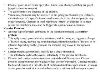 • Channel proteins are either open at all times (leak channels)or they are gated
(require stimulus to open)
• The gate controls the opening of the channel.
• Various mechanisms may be involved in the gating mechanism. For instance,
the attachment of a specific ion or small molecule to the channel protein may
trigger opening. Changes in local membrane "stress" or changes in voltage
across the membrane may also be triggers to open or close a channel.
Carrier Proteins
• Another type of protein embedded in the plasma membrane is a carrier
protein.
• This aptly named protein binds a substance and, in doing so, triggers a change
of its own shape, moving the bound molecule from the outside of the cell to its
interior; depending on the gradient, the material may move in the opposite
direction.
• Carrier proteins are typically specific for a single substance.
• This selectivity adds to the overall selectivity of the plasma membrane.
• Channel and carrier proteins transport materials at different rates. Channel
proteins transport much more quickly than do carrier proteins. Channel proteins
facilitate diffusion at a rate of tens of millions of molecules per second, whereas
carrier proteins work at a rate of a thousand to a million molecules per second
 