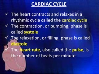 CARDIAC CYCLE
 The heart contracts and relaxes in a
rhythmic cycle called the cardiac cycle
 The contraction, or pumping, phase is
called systole
 The relaxation, or filling, phase is called
diastole
 The heart rate, also called the pulse, is
the number of beats per minute

 