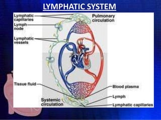 LYMPHATIC SYSTEM

 