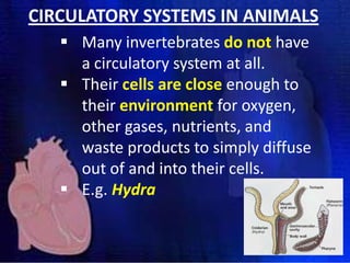 CIRCULATORY SYSTEMS IN ANIMALS
 Many invertebrates do not have
a circulatory system at all.
 Their cells are close enough to
their environment for oxygen,
other gases, nutrients, and
waste products to simply diffuse
out of and into their cells.
 E.g. Hydra

 