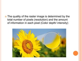  The quality of the raster image is determined by the
total number of pixels (resolution) and the amount
of information in each pixel (Color depth/ intensity)
 