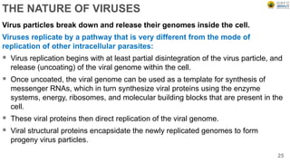 THE NATURE OF VIRUSES
Virus particles break down and release their genomes inside the cell.
Viruses replicate by a pathway that is very different from the mode of
replication of other intracellular parasites:
 Virus replication begins with at least partial disintegration of the virus particle, and
release (uncoating) of the viral genome within the cell.
 Once uncoated, the viral genome can be used as a template for synthesis of
messenger RNAs, which in turn synthesize viral proteins using the enzyme
systems, energy, ribosomes, and molecular building blocks that are present in the
cell.
 These viral proteins then direct replication of the viral genome.
 Viral structural proteins encapsidate the newly replicated genomes to form
progeny virus particles.
25
 