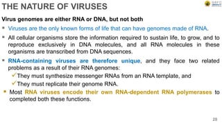 THE NATURE OF VIRUSES
Virus genomes are either RNA or DNA, but not both
 Viruses are the only known forms of life that can have genomes made of RNA.
 All cellular organisms store the information required to sustain life, to grow, and to
reproduce exclusively in DNA molecules, and all RNA molecules in these
organisms are transcribed from DNA sequences.
 RNA-containing viruses are therefore unique, and they face two related
problems as a result of their RNA genomes:
They must synthesize messenger RNAs from an RNA template, and
They must replicate their genome RNA.
 Most RNA viruses encode their own RNA-dependent RNA polymerases to
completed both these functions.
28
 
