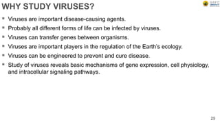 WHY STUDY VIRUSES?
 Viruses are important disease-causing agents.
 Probably all different forms of life can be infected by viruses.
 Viruses can transfer genes between organisms.
 Viruses are important players in the regulation of the Earth’s ecology.
 Viruses can be engineered to prevent and cure disease.
 Study of viruses reveals basic mechanisms of gene expression, cell physiology,
and intracellular signaling pathways.
29
 
