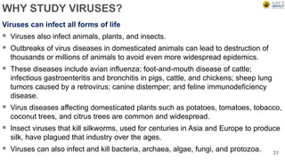 WHY STUDY VIRUSES?
Viruses can infect all forms of life
 Viruses also infect animals, plants, and insects.
 Outbreaks of virus diseases in domesticated animals can lead to destruction of
thousands or millions of animals to avoid even more widespread epidemics.
 These diseases include avian influenza; foot-and-mouth disease of cattle;
infectious gastroenteritis and bronchitis in pigs, cattle, and chickens; sheep lung
tumors caused by a retrovirus; canine distemper; and feline immunodeficiency
disease.
 Virus diseases affecting domesticated plants such as potatoes, tomatoes, tobacco,
coconut trees, and citrus trees are common and widespread.
 Insect viruses that kill silkworms, used for centuries in Asia and Europe to produce
silk, have plagued that industry over the ages.
 Viruses can also infect and kill bacteria, archaea, algae, fungi, and protozoa. 31
 