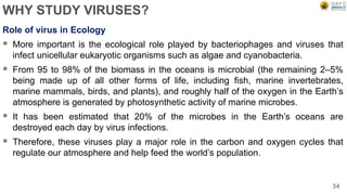 WHY STUDY VIRUSES?
Role of virus in Ecology
 More important is the ecological role played by bacteriophages and viruses that
infect unicellular eukaryotic organisms such as algae and cyanobacteria.
 From 95 to 98% of the biomass in the oceans is microbial (the remaining 2–5%
being made up of all other forms of life, including fish, marine invertebrates,
marine mammals, birds, and plants), and roughly half of the oxygen in the Earth’s
atmosphere is generated by photosynthetic activity of marine microbes.
 It has been estimated that 20% of the microbes in the Earth’s oceans are
destroyed each day by virus infections.
 Therefore, these viruses play a major role in the carbon and oxygen cycles that
regulate our atmosphere and help feed the world’s population.
34
 