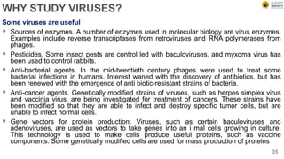WHY STUDY VIRUSES?
Some viruses are useful
 Sources of enzymes. A number of enzymes used in molecular biology are virus enzymes.
Examples include reverse transcriptases from retroviruses and RNA polymerases from
phages.
 Pesticides. Some insect pests are control led with baculoviruses, and myxoma virus has
been used to control rabbits.
 Anti-bacterial agents. In the mid-twentieth century phages were used to treat some
bacterial infections in humans. Interest waned with the discovery of antibiotics, but has
been renewed with the emergence of anti biotic-resistant strains of bacteria.
 Anti-cancer agents. Genetically modified strains of viruses, such as herpes simplex virus
and vaccinia virus, are being investigated for treatment of cancers. These strains have
been modified so that they are able to infect and destroy specific tumor cells, but are
unable to infect normal cells.
 Gene vectors for protein production. Viruses, such as certain baculoviruses and
adenoviruses, are used as vectors to take genes into an i mal cells growing in culture.
This technology is used to make cells produce useful proteins, such as vaccine
components. Some genetically modified cells are used for mass production of proteins
35
 