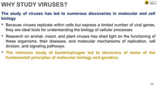 WHY STUDY VIRUSES?
The study of viruses has led to numerous discoveries in molecular and cell
biology
 Because viruses replicate within cells but express a limited number of viral genes,
they are ideal tools for understanding the biology of cellular processes.
 Research on animal, insect, and plant viruses has shed light on the functioning of
these organisms, their diseases, and molecular mechanisms of replication, cell
division, and signaling pathways.
 The intensive study of bacteriophages led to discovery of some of the
fundamental principles of molecular biology and genetics.
36
 