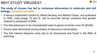 WHY STUDY VIRUSES?
The study of viruses has led to numerous discoveries in molecular and cell
biology: Common examples
 A famous experiment carried by Alfred Hershey and Martha Chase, and published
in 1952, used phage T2 and E. coli to provi1de strong1 evidence that genetic
material is composed of DNA.
 The first enhancers to be characterized were in genes of simian virus 40 (SV40).
 Introns were discovered during studies of adenovirus transcription.
 The first internal ribosome entry site to be discovered was found in the RNA of
poliovirus
38
 