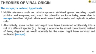 THEORIES OF VIRAL ORIGIN
The escape, or cellular, hypothesis
 Mobile elements such as retrotransposons obtained genes encoding capsid
proteins and enzymes, and, much like plasmids we know today, were able to
escape from their original cellular environment and move to, and replicate in, other
cells.
 Alternatively, some nucleic acid might have been transferred accidentally into a
cell of a different species (e.g. through a wound or by sexual contact) and, instead
of being degraded as would normally be the case, might have survived and
replicated (escape).
42
 
