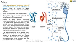 Prions
 Prions (proteinaceous infectious particle:
misfolded protein which is infectious in
nature) cause a variety of neuro
degenerative diseases in humans and other
animals.
 Prions are encoded by host chromosomes.
 Prion protein triggers normal protein to fold
abnormally which causes disease.
 Scrapie in sheep, Bovine spongiform
encephalopathy (BSE or “mad cow disease”):
Cow and Humans. Human diseases kuru, fatal
familial insomnia, Creutzfeldt-Jakob disease
(CJD), and Gerstmann-Strassler-Scheinker
syndrome (GSS). All result in progressive
degeneration of the brain and eventual death.
At present, no effective treatment exists.
 The best-studied prion is the scrapie prion.
Researchers have shown that scrapie is
caused by an abnormal form of a cellular
protein.The abnormal form is called PrPsc (for
scrapie-associated prion protein), and the
normal cellular form is called PrPc. 49
Reference: Wiley et al 2020 chapter 6
 