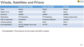 Viriods, Satellites and Prions
50
Viriod like sat RNA Linear sat RNA Viriods
Host Plants Plants Plants
Helper virus SNMV CMV None
Genome ssRNA ssRNA ssRNA
Replication HV Replicase HV Replicase Cellular polymerase
Site of replication Cytoplasm Nucleus/cytoplasm Nucleus
Coding capacity None None None
# Encapsidation HV CP (Helper virus coat
protein)
HV CP None
# Encapsidation: The enclosure of viral nucleic acid within a capsid.
 
