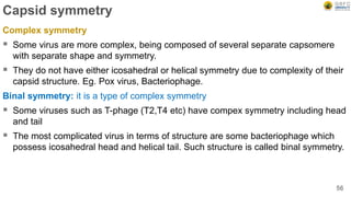 Capsid symmetry
Complex symmetry
 Some virus are more complex, being composed of several separate capsomere
with separate shape and symmetry.
 They do not have either icosahedral or helical symmetry due to complexity of their
capsid structure. Eg. Pox virus, Bacteriophage.
Binal symmetry: it is a type of complex symmetry
 Some viruses such as T-phage (T2,T4 etc) have compex symmetry including head
and tail
 The most complicated virus in terms of structure are some bacteriophage which
possess icosahedral head and helical tail. Such structure is called binal symmetry.
56
 