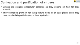 Cultivation and purification of viruses
 Viruses are obligate intracellular parasites so they depend on host for their
survival.
 They cannot be grown in non-living culture media or on agar plates alone, they
must require living cells to support their replication.
57
 