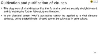 Cultivation and purification of viruses
 The diagnosis of viral diseases like the flu and a cold are usually straightforward
and do not require further laboratory confirmation.
 In the classical sense, Koch’s postulates cannot be applied to a viral disease
because, unlike bacterial cells, viruses cannot be cultivated in pure culture.
58
 