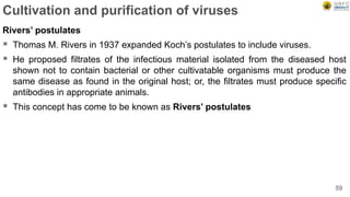 Cultivation and purification of viruses
Rivers’ postulates
 Thomas M. Rivers in 1937 expanded Koch’s postulates to include viruses.
 He proposed filtrates of the infectious material isolated from the diseased host
shown not to contain bacterial or other cultivatable organisms must produce the
same disease as found in the original host; or, the filtrates must produce specific
antibodies in appropriate animals.
 This concept has come to be known as Rivers’ postulates
59
 