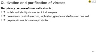 Cultivation and purification of viruses
The primary purpose of virus cultivation is:
 To isolate and identify viruses in clinical samples.
 To do research on viral structure, replication, genetics and effects on host cell.
 To prepare viruses for vaccine production.
62
 