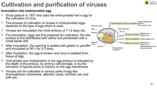 Cultivation and purification of viruses
Inoculation into embryonated egg
 Good pasture in 1931 first used the embryonated hen’s egg for
the cultivation of virus.
 The process of cultivation of viruses in embryonated eggs
depends on the type of egg which is used.
 Viruses are inoculated into chick embryo of 7-12 days old.
 For inoculation, eggs are first prepared for cultivation, the shell
surface is first disinfected with iodine and penetrated with a
small sterile drill.
 After inoculation, the opening is sealed with gelatin or paraffin
and incubated at 36°c for 2-3 days.
 After incubation, the egg is broken and virus is isolated from
tissue of egg.
 Viral growth and multiplication in the egg embryo is indicated by
the death of the embryo, by embryo cell damage, or by the
formation of typical pocks or lesions on the egg membranes
 Viruses can be cultivated in various parts of egg like
chorioallantoic membrane, allantoic cavity, amniotic sac and
yolk sac.
67
 