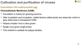 Cultivation and purification of viruses
Inoculation into embryonated egg
Chorioallantoic Membrane (CAM):
 Inoculation is mainly for growing poxvirus.
 After incubation and incubation, visible lesions called pocks are observed, which is
grey white area in transparent CAM.
 Herpes simplex virus is also grown.
 Single virus gives single pocks
 This method is suitable for plaque studies.
68
 
