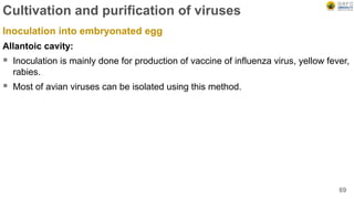 Cultivation and purification of viruses
Inoculation into embryonated egg
Allantoic cavity:
 Inoculation is mainly done for production of vaccine of influenza virus, yellow fever,
rabies.
 Most of avian viruses can be isolated using this method.
69
 