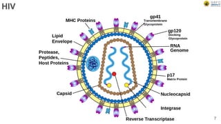 HIV
7
 