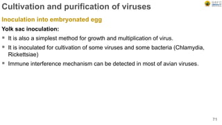 Cultivation and purification of viruses
Inoculation into embryonated egg
Yolk sac inoculation:
 It is also a simplest method for growth and multiplication of virus.
 It is inoculated for cultivation of some viruses and some bacteria (Chlamydia,
Rickettsiae)
 Immune interference mechanism can be detected in most of avian viruses.
71
 