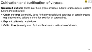 Cultivation and purification of viruses
Tissue/cell Culture: There are three types of tissue culture; organ culture, explant
culture and cell culture.
 Organ cultures are mainly done for highly specialized parasites of certain organs
e.g. tracheal ring culture is done for isolation of coronavirus.
 Explant culture is rarely done.
 Cell culture is mostly used for identification and cultivation of viruses.
74
 