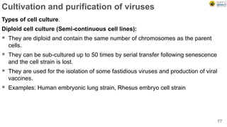Cultivation and purification of viruses
Types of cell culture.
Diploid cell culture (Semi-continuous cell lines):
 They are diploid and contain the same number of chromosomes as the parent
cells.
 They can be sub-cultured up to 50 times by serial transfer following senescence
and the cell strain is lost.
 They are used for the isolation of some fastidious viruses and production of viral
vaccines.
 Examples: Human embryonic lung strain, Rhesus embryo cell strain
77
 