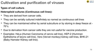Cultivation and purification of viruses
Types of cell culture.
Heteroploid cultures (Continuous cell lines):
 They are derived from cancer cells.
 They can be serially cultured indefinitely so named as continuous cell lines
 They can be maintained either by serial subculture or by storing in deep freeze at -
70°c.
 Due to derivation from cancer cells they are not useful for vaccine production.
 Examples: HeLa (Human Carcinoma of cervix cell line), HEP-2 (Humman
Epithelioma of larynx cell line), Vero (Vervet monkey) kidney cell lines, BHK-21
(Baby Hamster Kidney cell line).
78
 