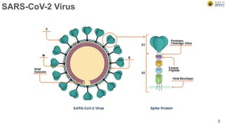 SARS-CoV-2 Virus
8
 