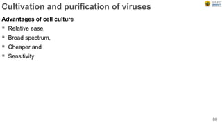 Cultivation and purification of viruses
Advantages of cell culture
 Relative ease,
 Broad spectrum,
 Cheaper and
 Sensitivity
80
 