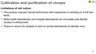 Cultivation and purification of viruses
Limitations of cell culture
 The process requires trained technicians with experience in working on a full time
basis.
 State health laboratories and hospital laboratories do not isolate and identify
viruses in clinical work.
 Tissue or serum for analysis is sent to central laboratories to identify virus.
81
 